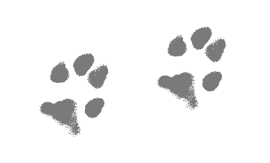 Dogs Talk Logo